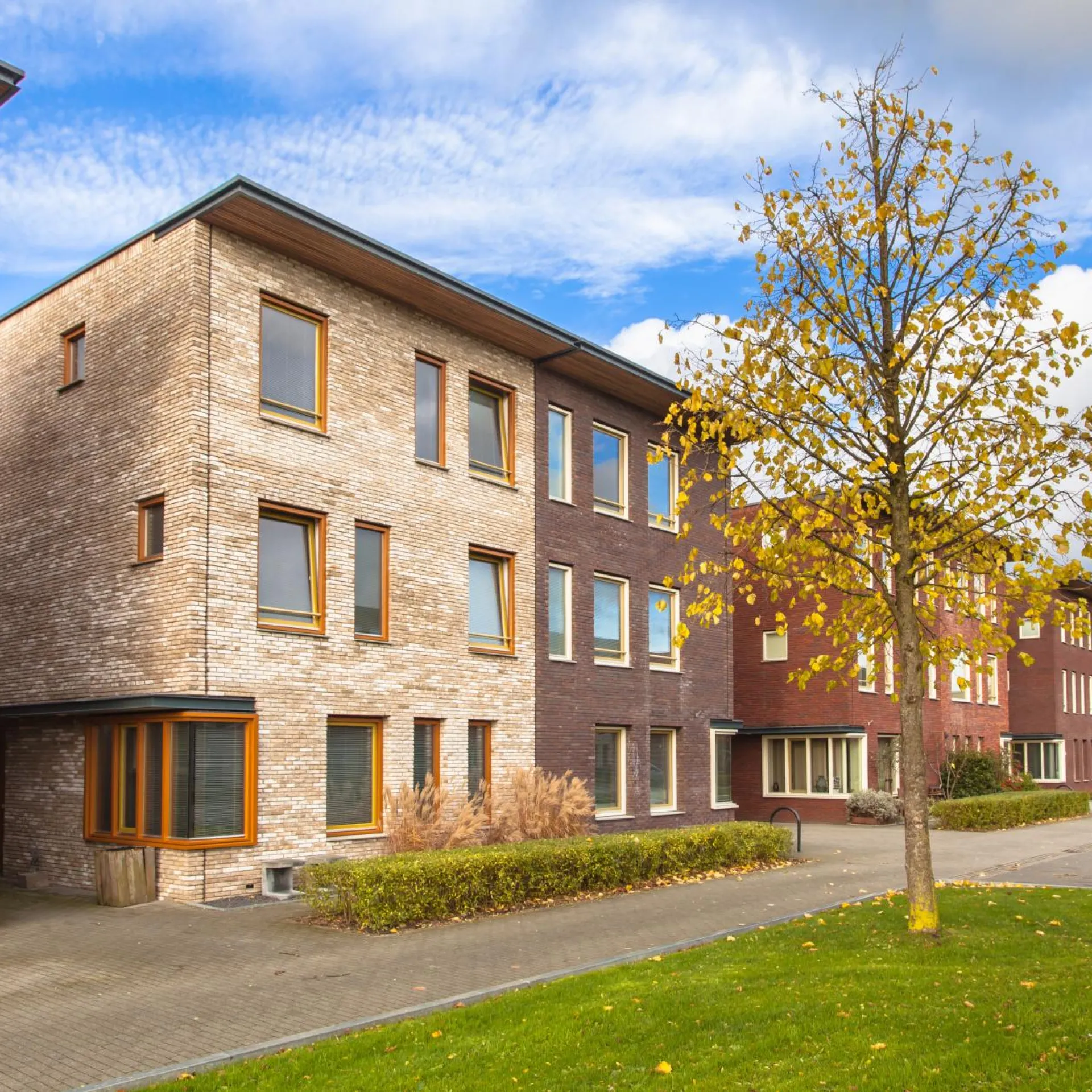 Rij huizen met een boom er voor